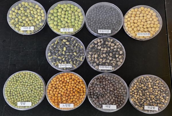 토종+콩，팥+종자+사진.jpg